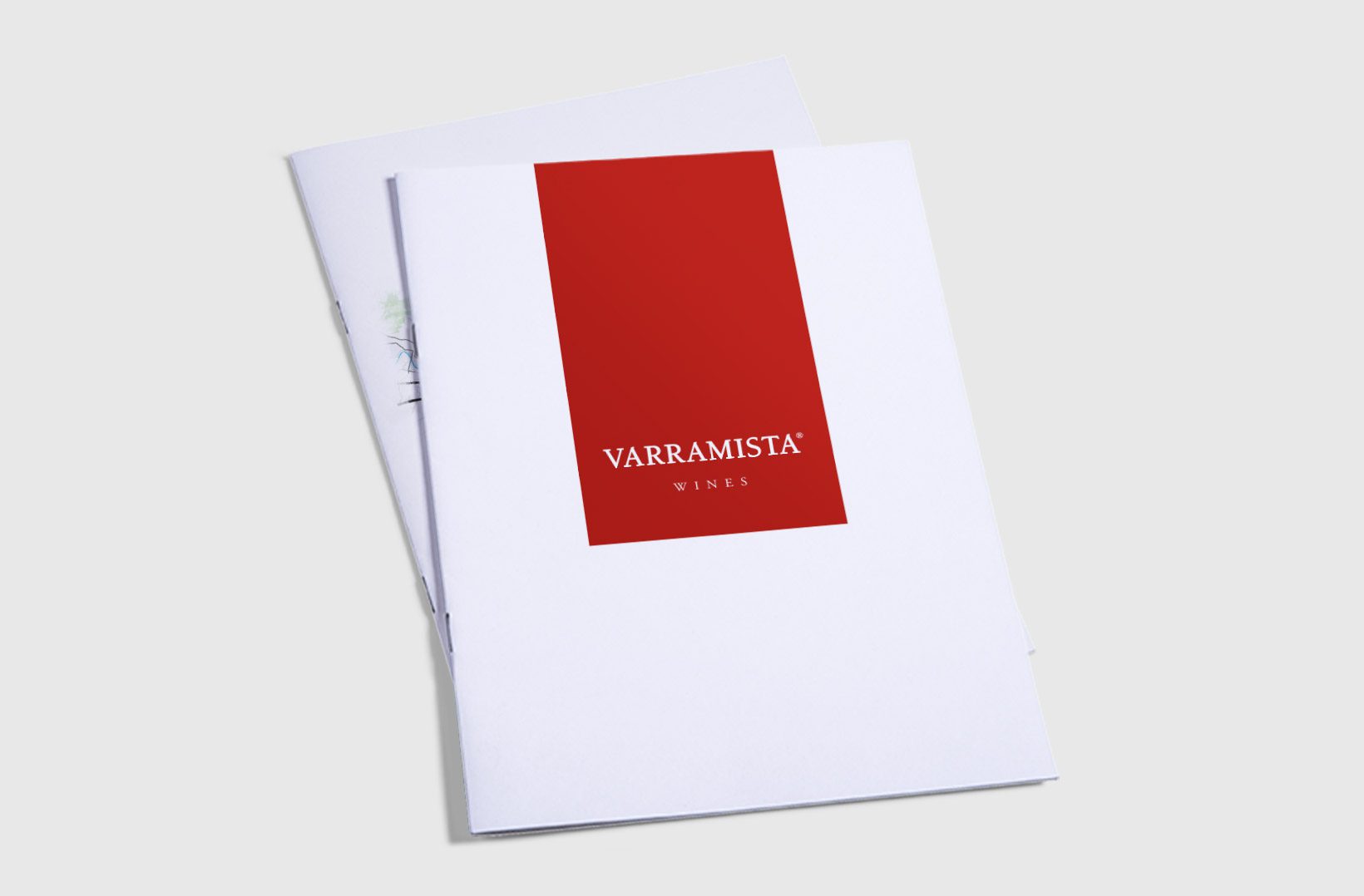 Brochure Aziendale Varramista - 1