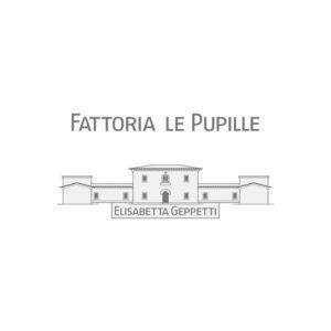 Consulente per l'Enoturismo e formatore - Clienti 69