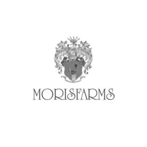 Consulente per l'Enoturismo e formatore - Clienti 123