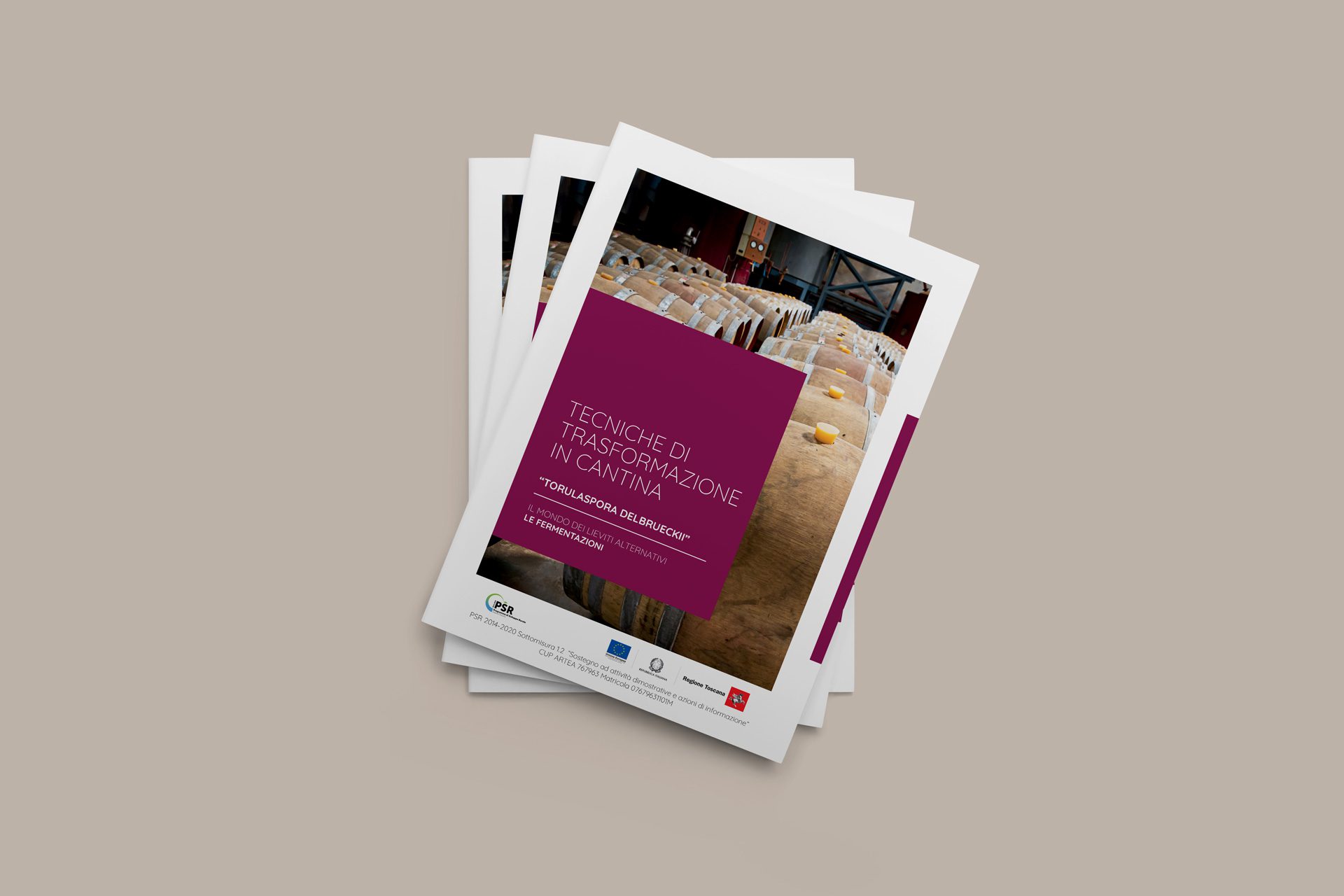 Consulente per l'Enoturismo e formatore - Brand Communication 9